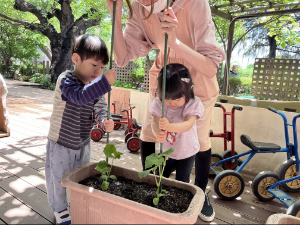 大きく育ちますように